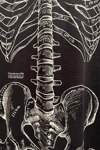 Siyah Gotik Anatomik İskelet Grunge Y2K Unisex T-Shirt
