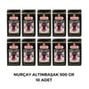 NURÇAY ALTINBAŞAK 500 GR - 10 ADET