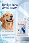 Ağız, Göz, Kulak, Deri, Tüy ve Yara Bakım Solüsyonu | Wound and Care Solution | 5 L | Dr.Animal