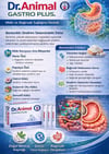 Gastro Plus Mide Koruyucu | Dr.Animal
