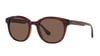  G-VOGUE-5494SI-257173-51-2024