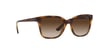  VOGUE 5426S W65613 54 Güneş Gözlüğü