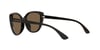ARMANI EXCHANGE 4111SU 815873 54 Güneş Gözlüğü