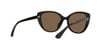 ARMANI EXCHANGE 4111SU 815873 54 Güneş Gözlüğü