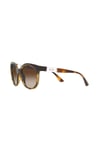 ARMANI EXCHANGE 4120S 821313 54 Güneş Gözlüğü