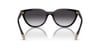 ARMANI EXCHANGE 4130SU 8158856 Güneş Gözlüğü