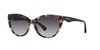 EMPORIO ARMANI 4162 5410855 Güneş Gözlüğü