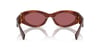 MIU MIU 11WS 11O08S 54 Güneş Gözlüğü