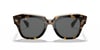 RAYBAN 2186 1292B152 Güneş Gözlüğü