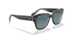 RAYBAN 2186 12973M 49 Güneş Gözlüğü