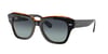RAYBAN 2186 13224152 Güneş Gözlüğü