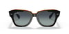 RAYBAN 2186 13224152 Güneş Gözlüğü