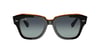 RAYBAN 2186 13224152 Güneş Gözlüğü