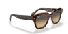 RAYBAN 2186 1324BG49 Güneş Gözlüğü