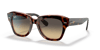 RAYBAN 2186 1324BG49 Güneş Gözlüğü