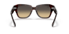 RAYBAN 2186 1324BG49 Güneş Gözlüğü