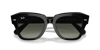 RAYBAN 2186 901/71 49 Güneş Gözlüğü