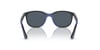 RAYBAN J9078S 715155 48 Güneş Gözlüğü