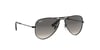 RAYBAN J9506 220/11 52 Güneş Gözlüğü