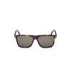 TOM FORD 0832 53N 57 Güneş Gözlüğü