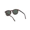 TOM FORD 1097 52N 53 Güneş Gözlüğü