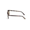 TOM FORD 1097 52N 53 Güneş Gözlüğü