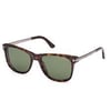 TOM FORD 1104 52N 53 Güneş Gözlüğü