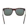 TOM FORD 1104 52N 53 Güneş Gözlüğü