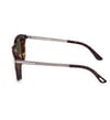 TOM FORD 1104 52N 53 Güneş Gözlüğü
