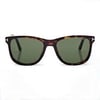 TOM FORD 1104 52N 53 Güneş Gözlüğü
