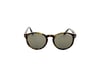 TOM FORD 591 52N 51 Güneş Gözlüğü