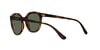 VOGUE 5427S W65671 50 Güneş Gözlüğü