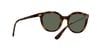 VOGUE 5427S W65671 50 Güneş Gözlüğü