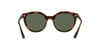VOGUE 5427S W65671 50 Güneş Gözlüğü