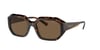 VOGUE 5554S W65673 54 Güneş Gözlüğü