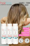 Hairbox Şampuan - Kolay Taranan Saçlar, Collagen, Keratin, Marula Yağlı Ekonomik Set (3 Adet Şampuan)