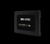 1TB HI-LEVEL HLV-SSD30ELT/1T 2,5