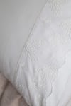 Apricitas Home Serene Bej %100 Pamuk Nevresim Takımı, Battaniye ve Yatak Örtüsü Seti