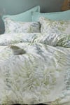 İssimo Home Occale Green Çift Kişilik %100 Pamuk Saten Nevresim Takımı