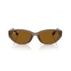 Ray-Ban Unisex - Kadın ve Erkek 4457-55 677983 Güneş Gözlüğü