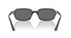 Ray-Ban 4455-52 667771 Siyah Çerçeve ve Cam