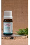 Günlük Yağı 10 ml