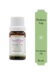 OKALİPTÜS YAĞI 10 ml