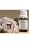 PALMAROSA YAĞI 10ml
