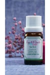 SELVİ YAĞI 10 ml
