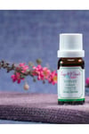 Vetiver Yağı 10 ml