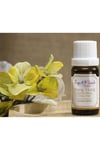YLANG-YLANG YAĞI 10ml