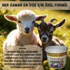 CAPROVİT LAMB(KUZU&OĞLAK)