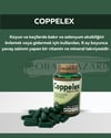 Coppelex kapsul