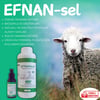 EFNANSEL